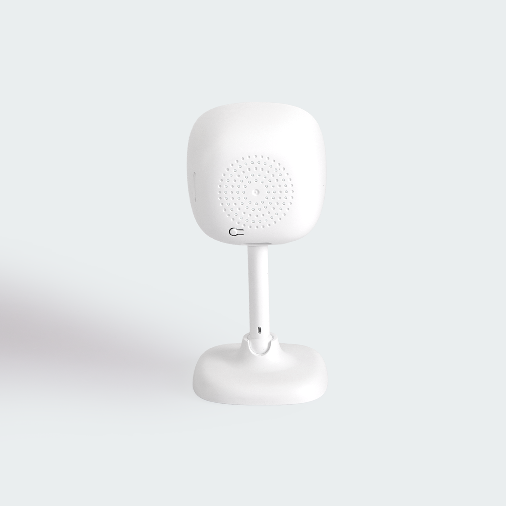Firefly Smart Solutions Smart Adjustable Fixed Camera