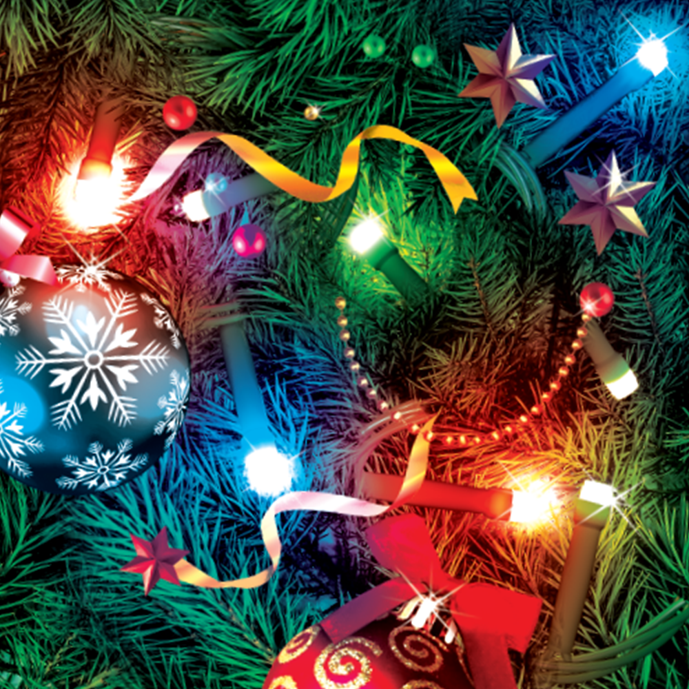Firefly Bright Christmas Lights 100LED 7 meters