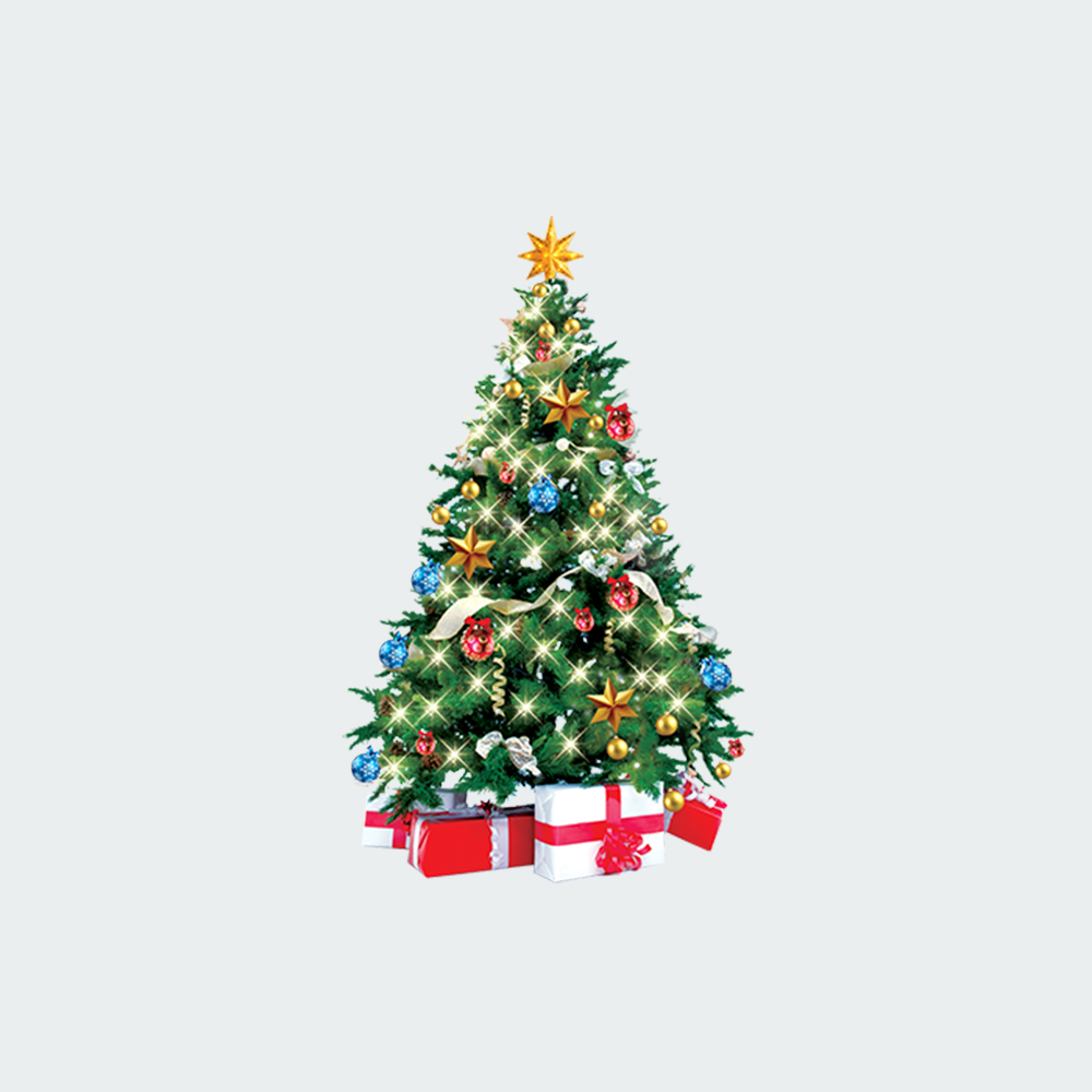 Firefly Bright Christmas Lights 100LED 7 meters