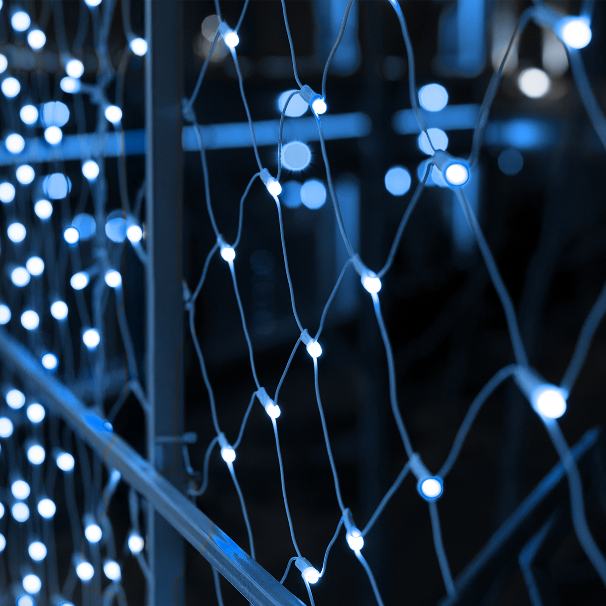 Firefly Christmas Net Lights