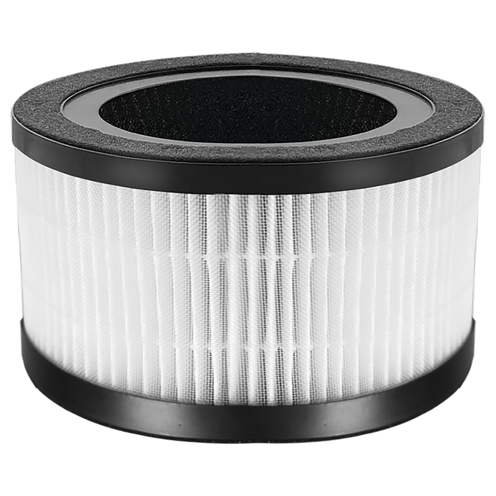 H13 HEPA Replacement Filter ( for FYP201 )