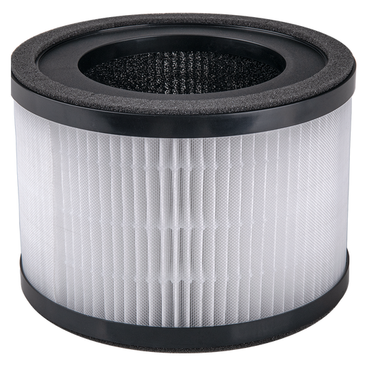 H13 HEPA Replacement Filter ( for FYP203 )