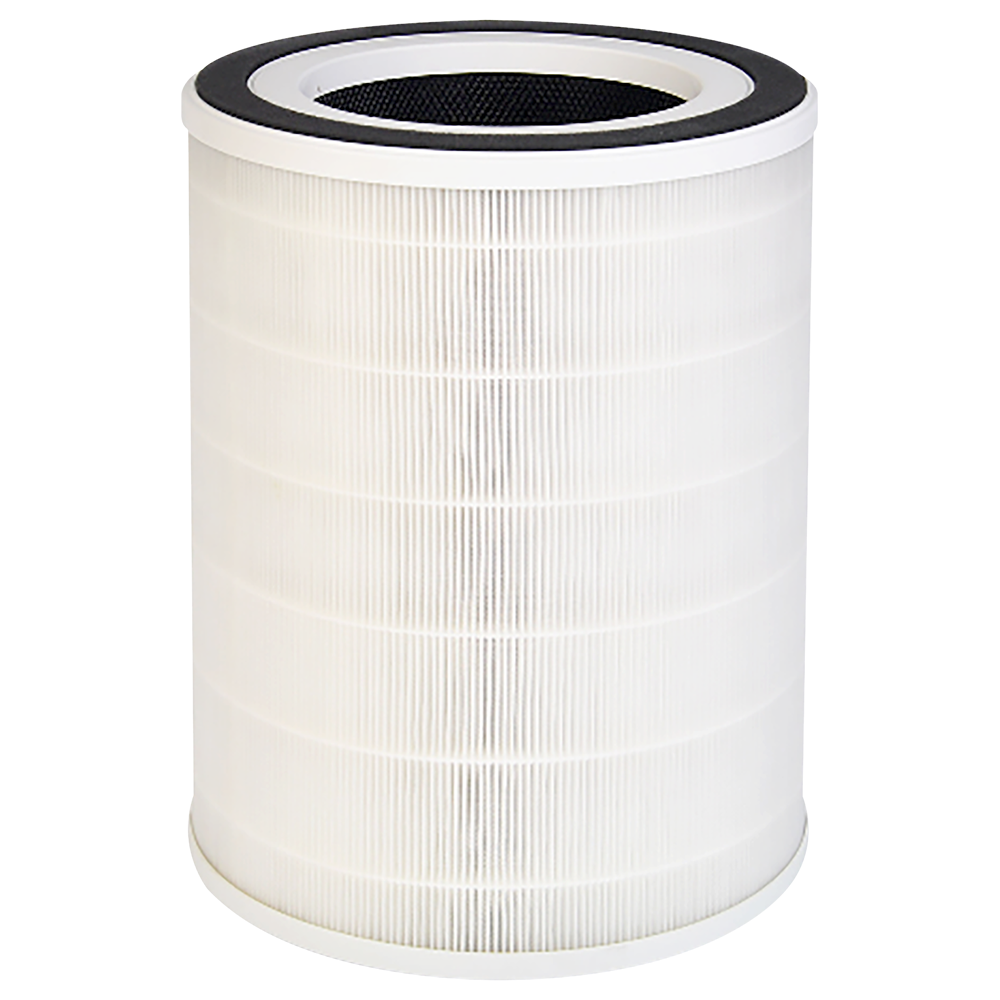 H13 HEPA Replacement Filter ( for FYP401)