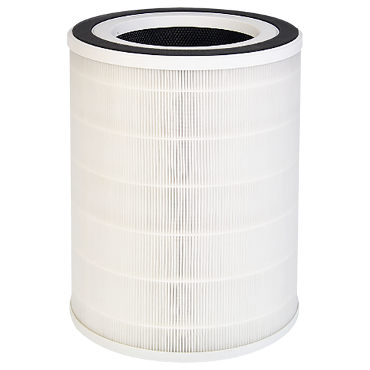 H13 HEPA Replacement Filter ( for FYP401)