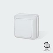 ROYU Surface Type 1 Gang Switch