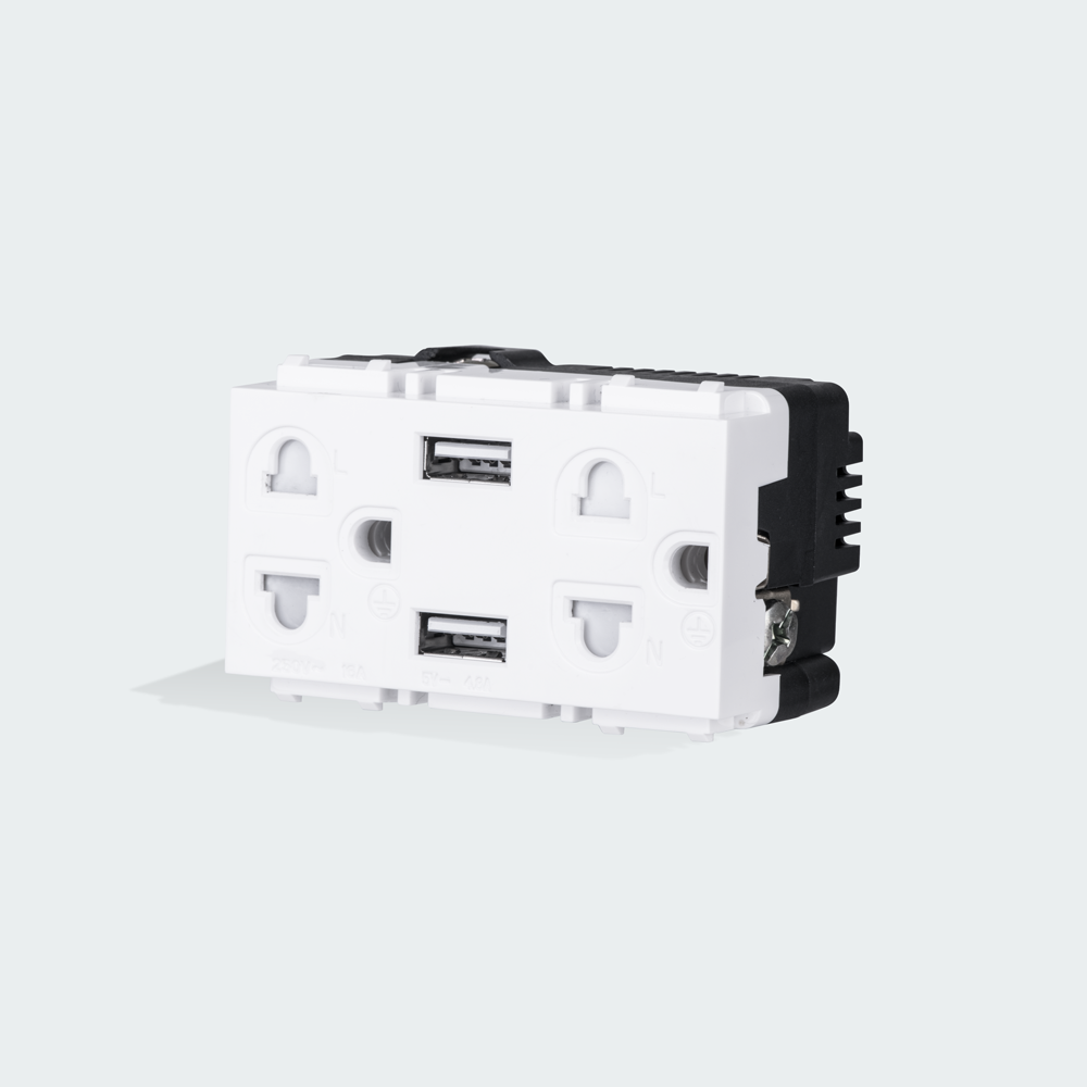 ROYU Duplex Universal Outlet with 2 USB