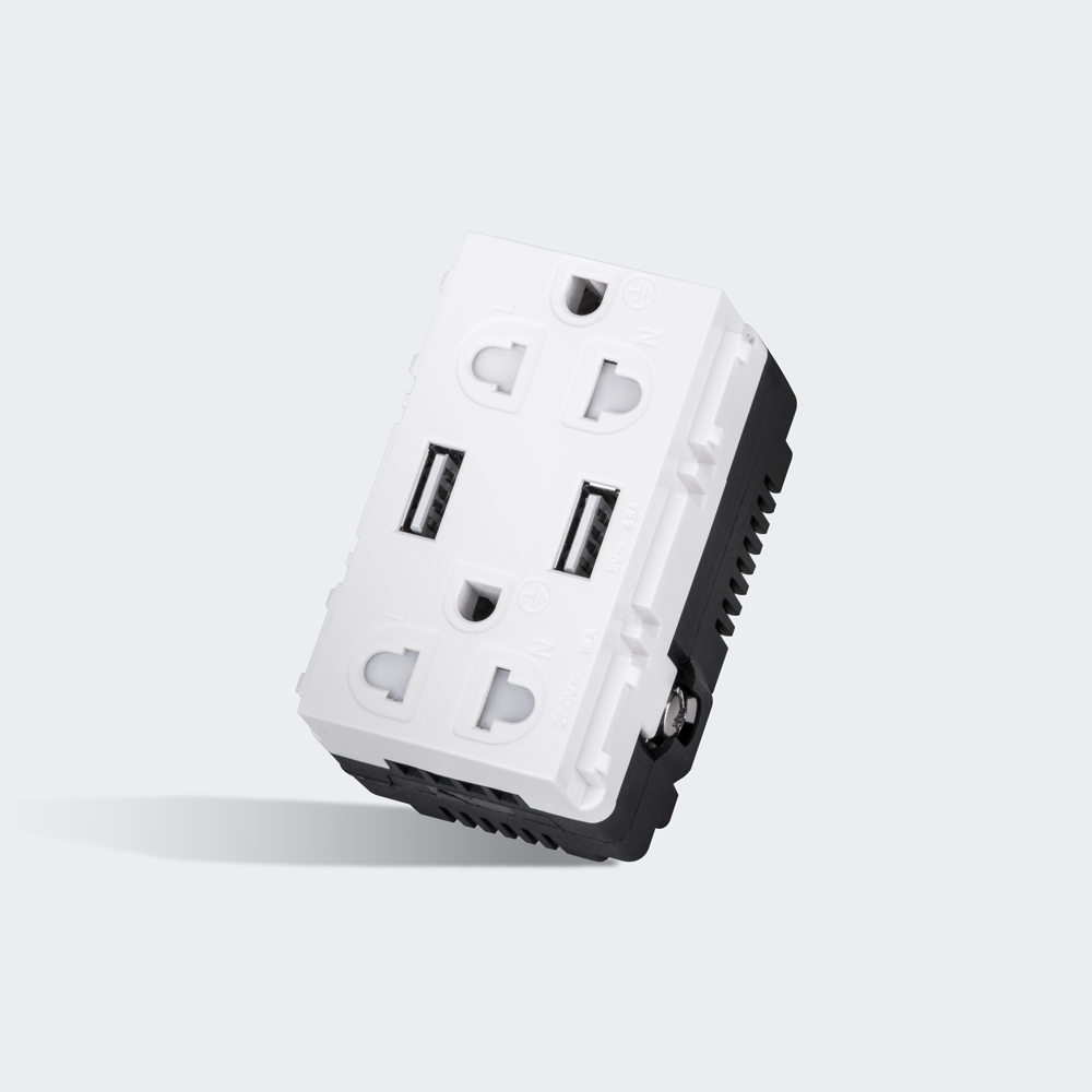 ROYU Duplex Universal Outlet with 2 USB
